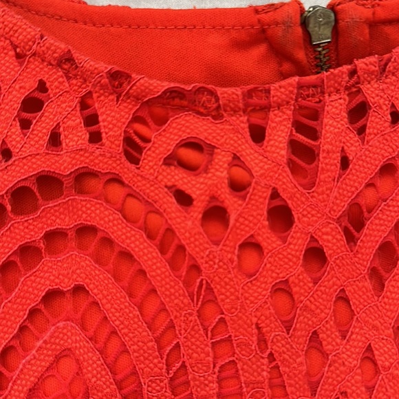 Sharagamo mid length, sheath, dress with cap sleeves and lace overlay detail - Picture 5 of 5